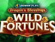 Wild Fortune